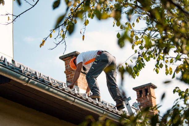 Best Roof Leak Repair  in Orleans, IN